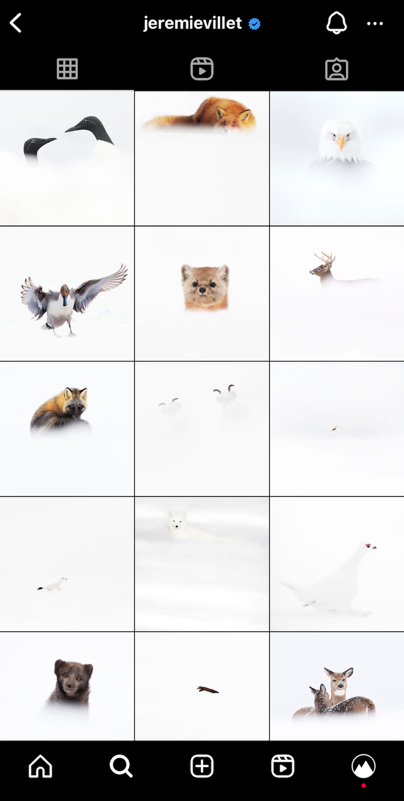 Les meilleures méthodes pour créer une harmonie visuelle sur votre feed Instagram 09