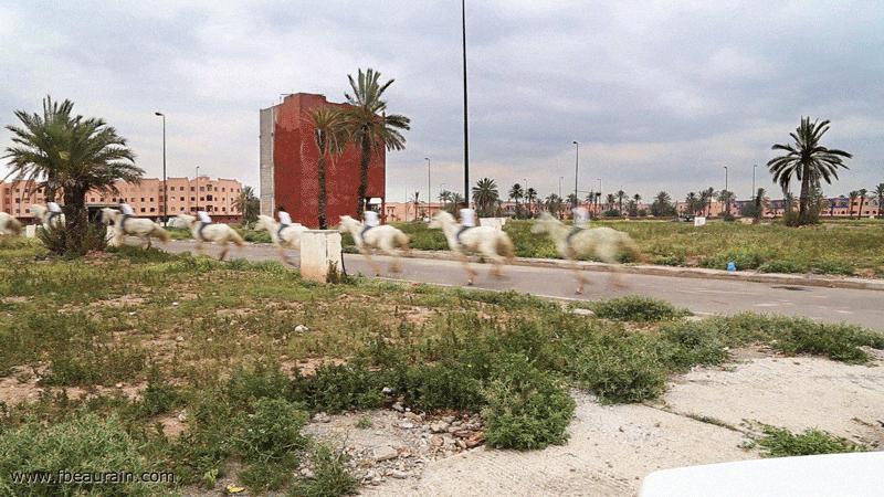 Photo and Video trends: François Beaurain 03