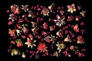 Poetry of Food Photography with Isabelle Smolinski - 00