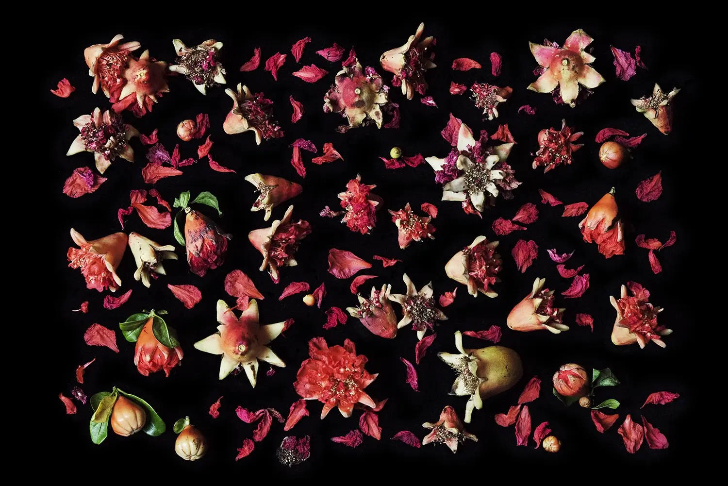 Poetry of Food Photography with Isabelle Smolinski - 00