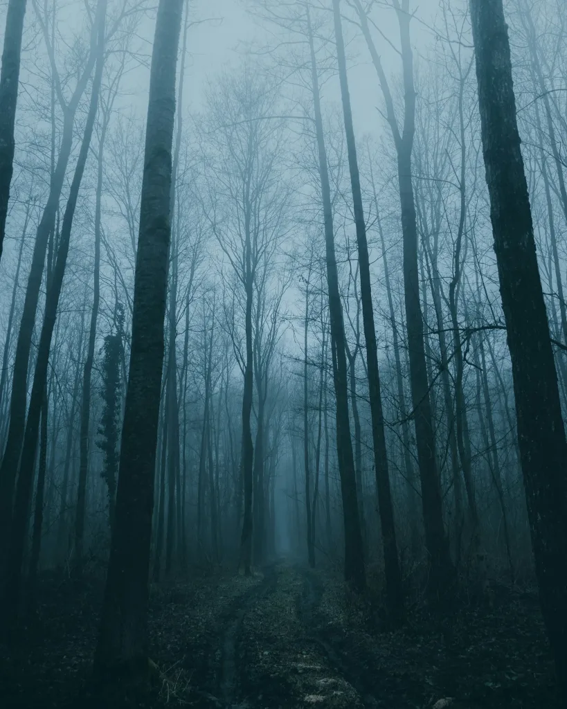 Halloween Photoshoot Ideas for Terrifyingly Spooky Shots - 06