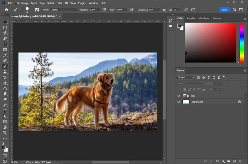 The Best Photo Editing Software With AI In 2024 (for PC and Mac) - 07