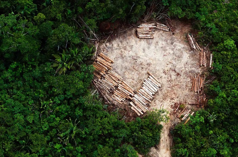The Power of Images in Raising Awareness for a Fragile Earth - 01