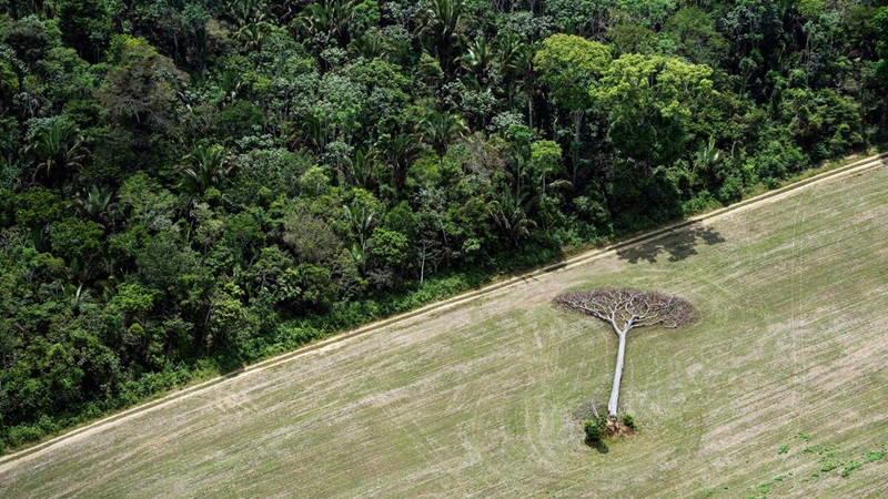 The Power of Images in Raising Awareness for a Fragile Earth - 02