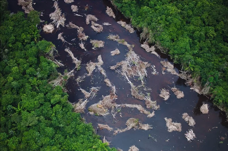 The Power of Images in Raising Awareness for a Fragile Earth - 03
