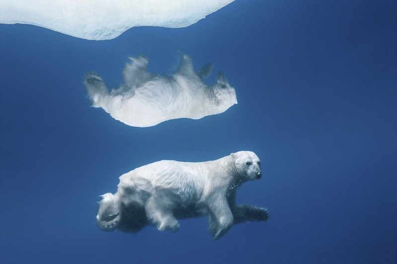 The Power of Images in Raising Awareness for a Fragile Earth - 07