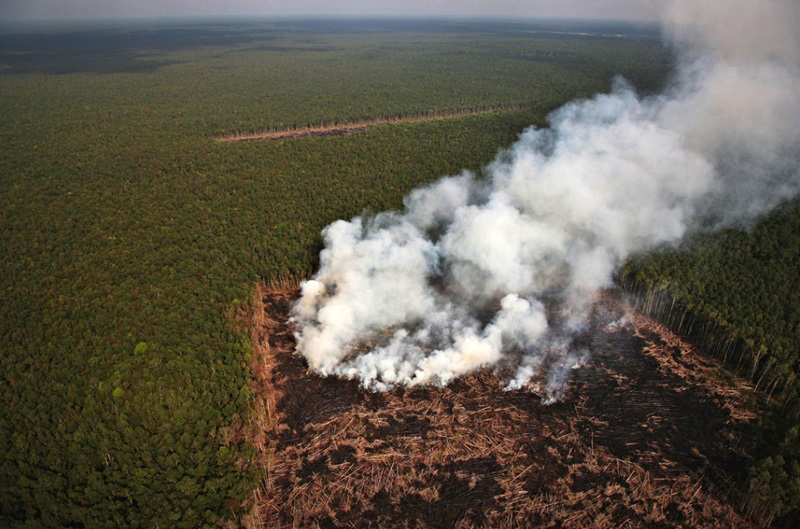 The Power of Images in Raising Awareness for a Fragile Earth - 25