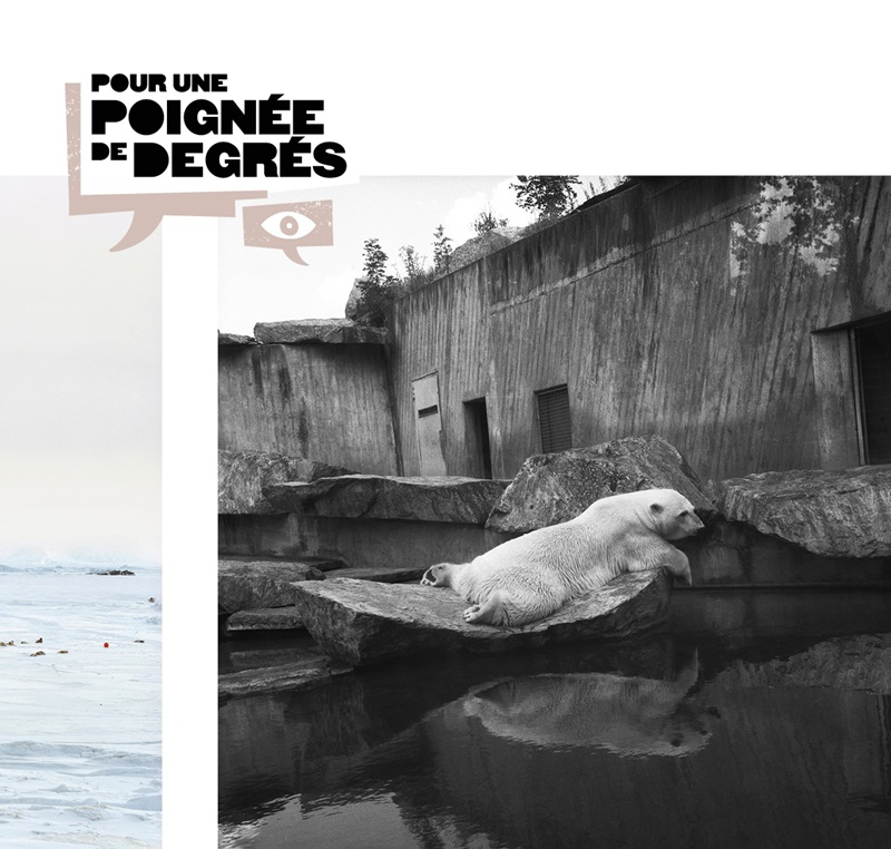 The Power of Images in Raising Awareness for a Fragile Earth - 40