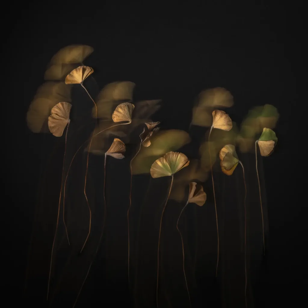 Uncovering Nature’s Silent Stories with Karen Waller - 00