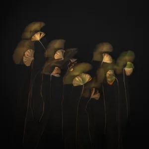 Uncovering Nature’s Silent Stories with Karen Waller - 00