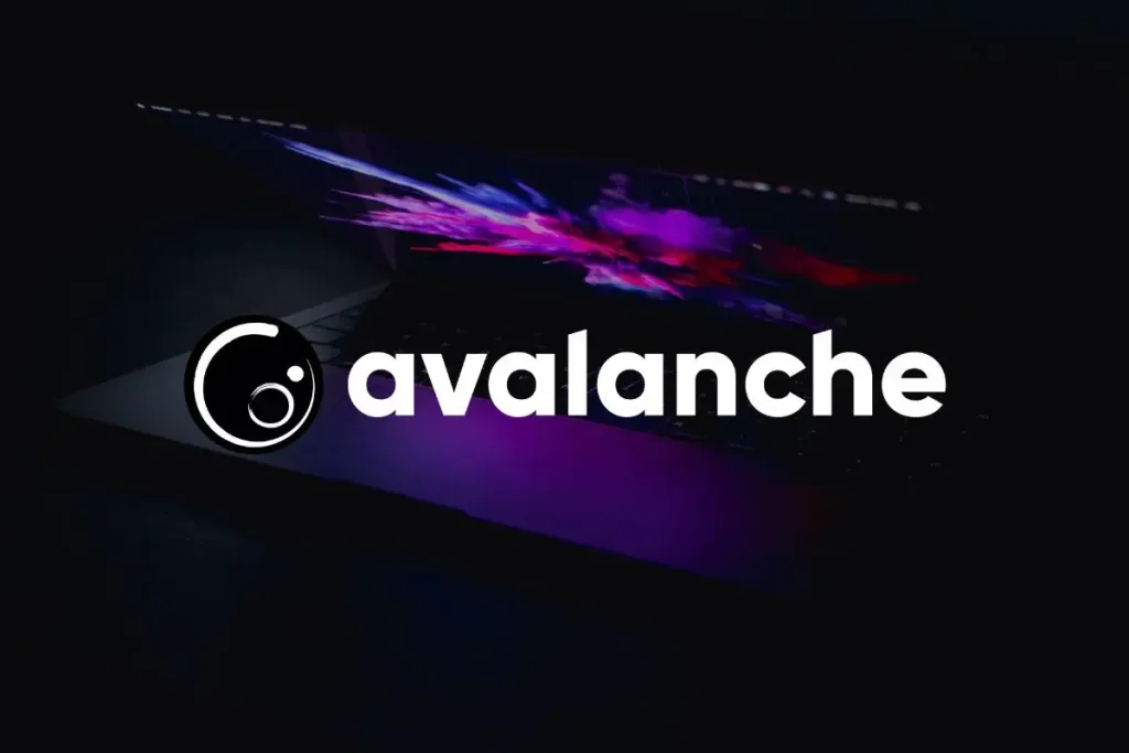 Black Friday Deals-Avalanche
