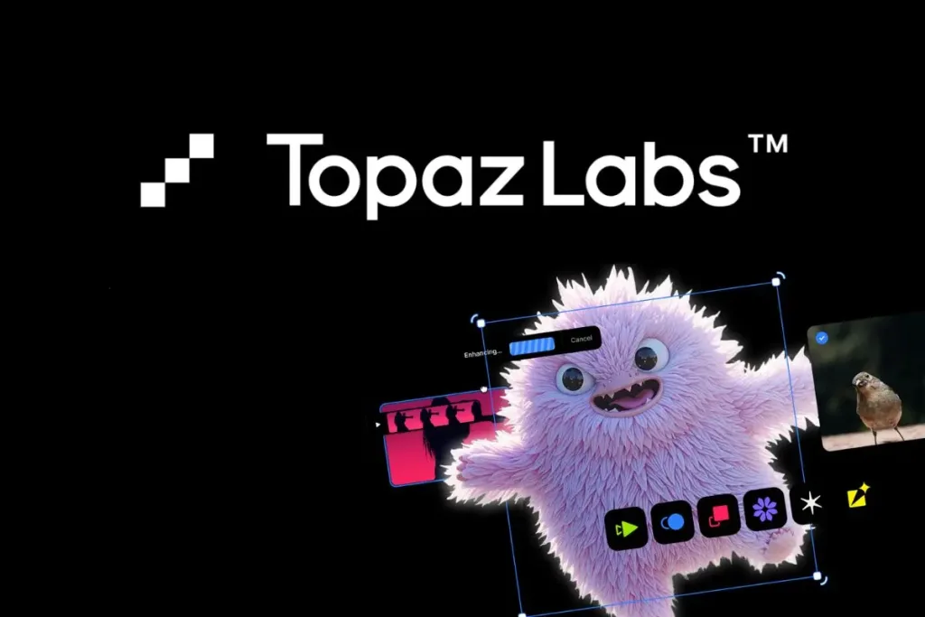 Black Friday Deals-Topaz Labs