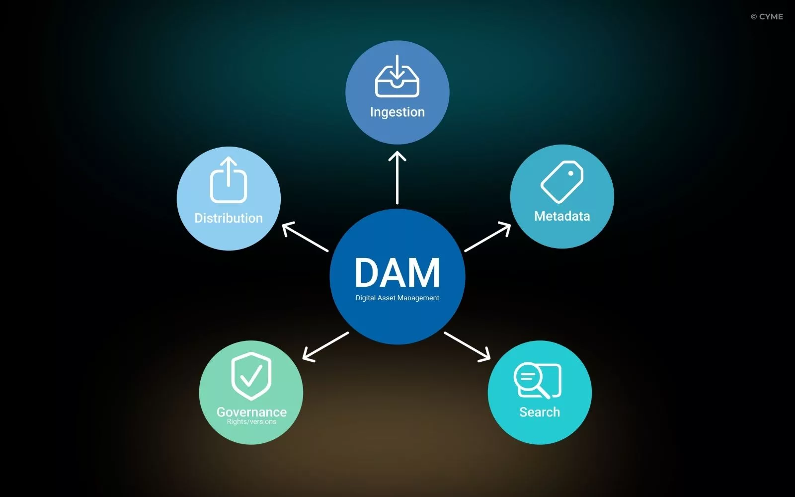 DAM vs MAM - What’s the Difference - 01