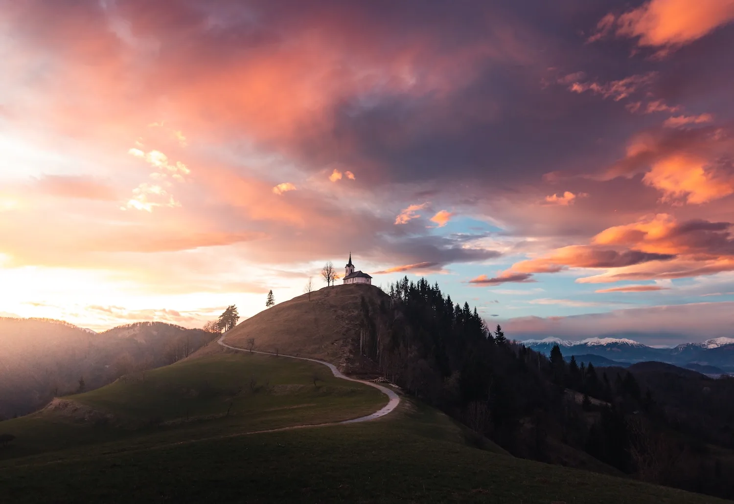 Finding Wonder in Foggy Landscapes with Nina Lozej - 10